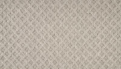 Mohawk Everstrand Walnut Weave Crane Grey 3O41-941