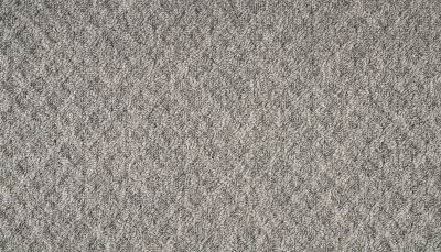 Mohawk Everstrand Walnut Weave Sparrow 3O41-956