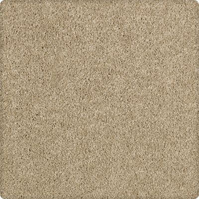 Karastan Smartstrand Delightful Charm Timberlane 43611-9758