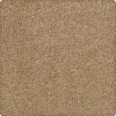 Karastan Smartstrand Delightful Charm Sequoia 43611-9852