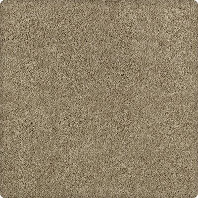 Karastan Smartstrand Delightful Charm Library Oak 43611-9866