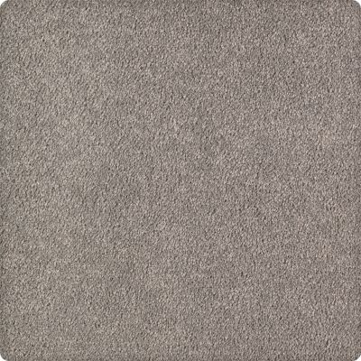 Karastan Kashmere Infinite Touch Silver Pearl 43621-9959