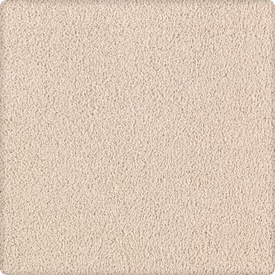 Karastan Smartstrand Silk Luxurious Beauty December Lace 43629-9717