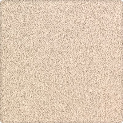 Karastan Smartstrand Silk Luxurious Beauty Grecian Column 43629-9722