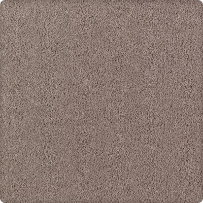 Karastan Smartstrand Silk Luxurious Beauty Swiss Coffee 43629-9779