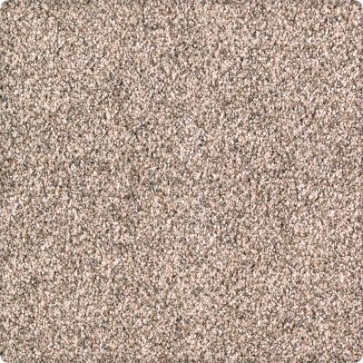 Karastan Smartstrand Silk Rustic Revival Coastal Beige 43632-9741