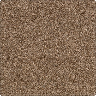 Karastan Kashmere Tranquil Shades Saddle 43636-9855