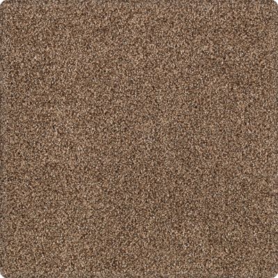 Karastan Kashmere Tranquil Shades Sequoia 43636-9875