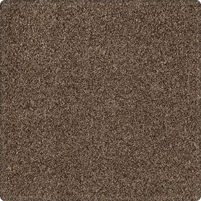 Karastan Kashmere Tranquil Shades Pinecone 43636-9879