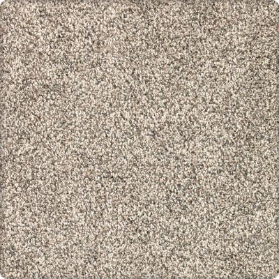 Karastan Smartstrand Silk Desired Elegance Softened Ash 43640-9726