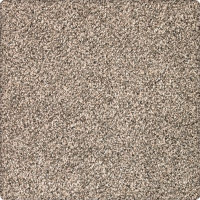 Karastan Smartstrand Silk Desired Elegance Coastal Beige 43640-9741