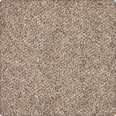 Karastan Smartstrand Silk Desired Elegance Ceramic Beige 43640-9765