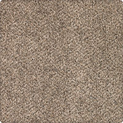 Karastan Smartstrand Silk Desired Elegance Whole Grain 43640-9767