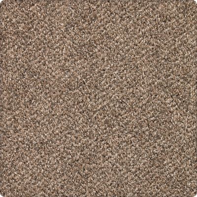 Karastan Smartstrand Silk Desired Elegance Allspice 43640-9771