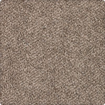 Karastan Smartstrand Silk Desired Elegance Winter Bark 43640-9786