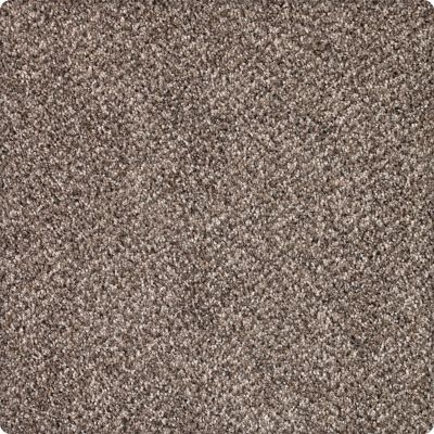 Karastan Smartstrand Silk Desired Elegance Mineral Brown 43640-9789