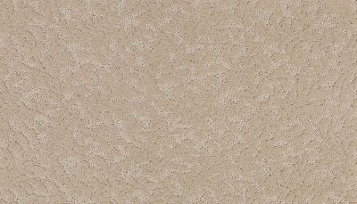 Karastan Smartstrand Silk Stately Arrangement Boulder Beige 43641-9735