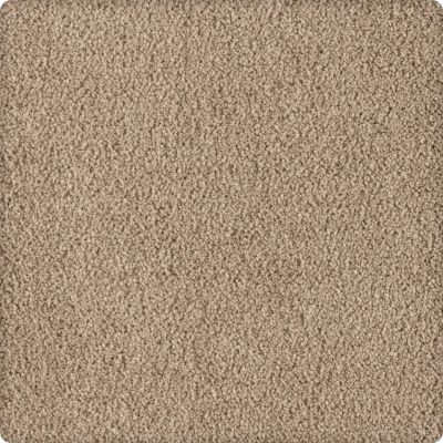 Karastan Smartstrand Silk Soft Eloquence Irish Linen 43646-9779