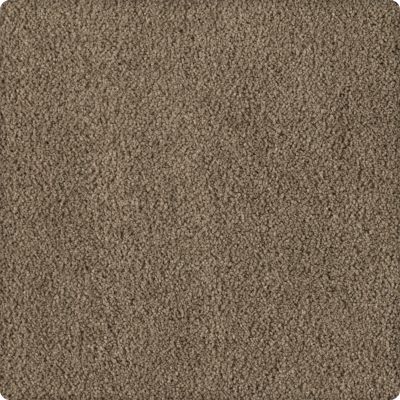 Karastan Smartstrand Silk Soft Eloquence Rustic Splendor 43646-9839