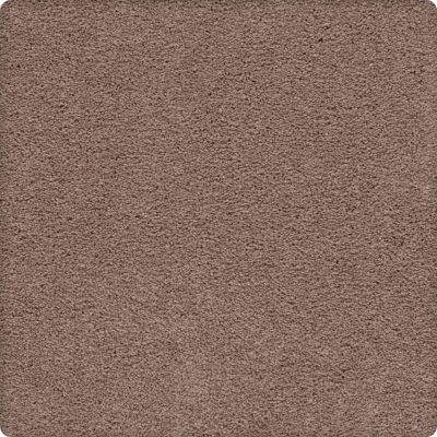 Karastan Smartstrand Artisan Delight Fire Mist 43656-9228