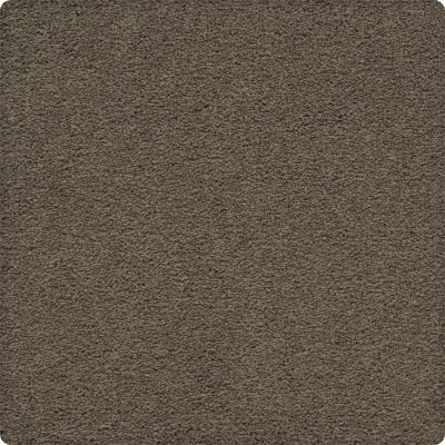 Karastan Smartstrand Artisan Delight Shadywood 43656-9839