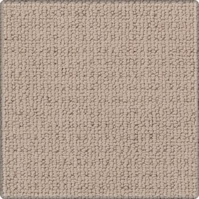 Karastan Smartstrand Silk Avalon Estate Brushwood 43665-9755