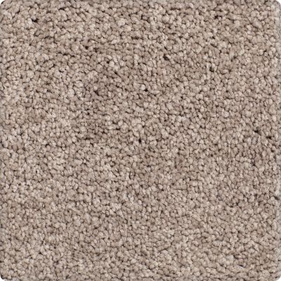 Karastan Smartstrand Essential Flair Prairie Dusk 43667-9848