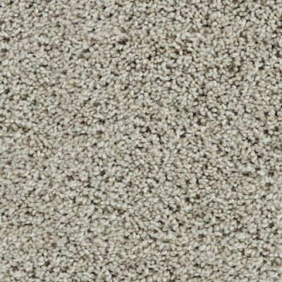 Karastan Smartstrand Noteworthy Style Heathery Tint 43687-9749