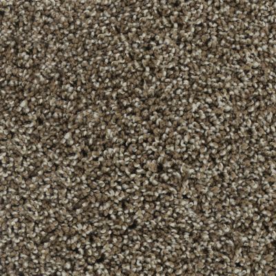 Karastan Smartstrand Noteworthy Style Lush Suede 43687-9860