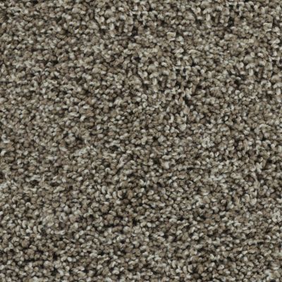 Karastan Smartstrand Noteworthy Style Gentle Doe 43687-9863