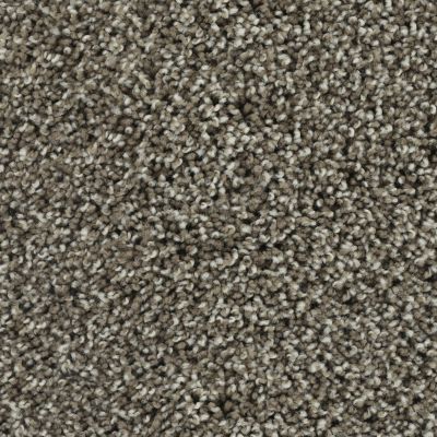 Karastan Smartstrand Noteworthy Style Taupe Shadow 43687-9869