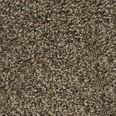 Karastan Smartstrand Noteworthy Style Mesquite Chip 43687-9876