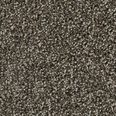 Karastan Smartstrand Noteworthy Style Truffle 43687-9879