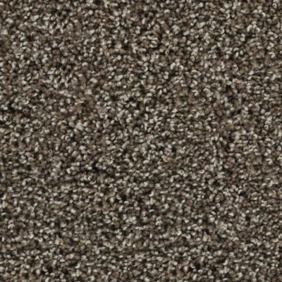 Karastan Smartstrand Noteworthy Style Hearthstone 43687-9883