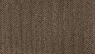 Karastan Smartstrand Captivating Beauty Maple 43704-9849