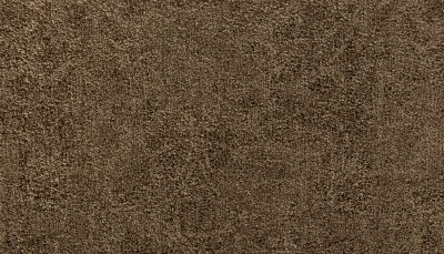 Karastan Kashmere Intriguing Allure Brushwood 43707-9863