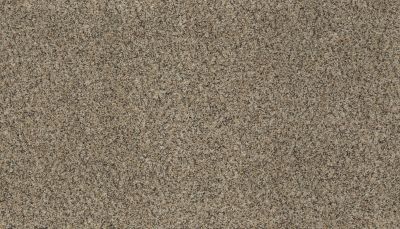 Karastan Smartstrand Enchanting Flair Sonora 43711-9767