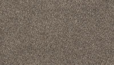 Karastan Smartstrand Enchanting Flair Woodland 43711-9825