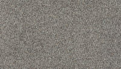 Karastan Smartstrand Instinctive Taste Ancient Marble 43728-9926