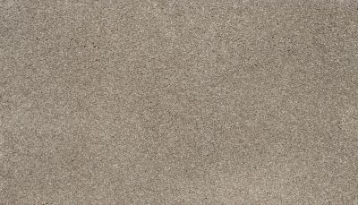 Karastan Smartstrand Luxurious Vision Garden Wall 43730-9775