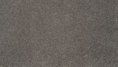 Karastan Smartstrand Silk Simply Amazing Sparrow 43731-9952