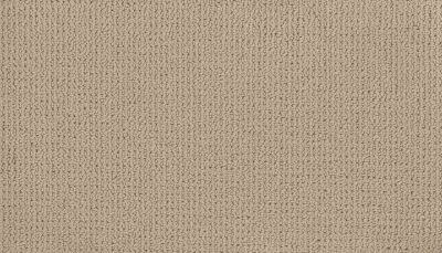 Karastan Smartstrand Graceful Transition Cascade 43751-9824