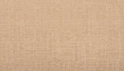 Karastan Smartstrand Delicate Dimension Lark 43763-9826