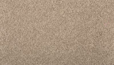 Karastan Kashmere Cordial Mood Pale Taupe 43765-9846