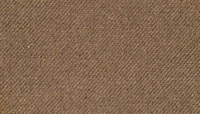 Karastan Wool Imbue Burnished 43785-9270