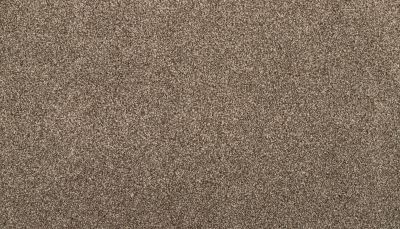 Karastan Kashmere Cordial Memory Fawn Suede 43787-9738