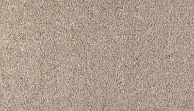 Karastan Smartstrand Silk Refined Simplicity Opulence 43792-9716