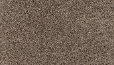 Karastan Smartstrand Silk Refined Simplicity Regal 43792-9865