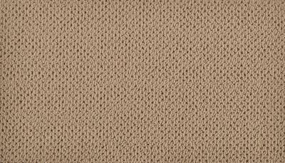 Karastan Smartstrand Intricate Character Burlap 43796-9846