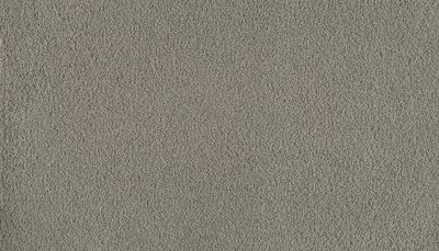 Karastan Kashmere Infinite Spark Stellar Grey 43814-9937